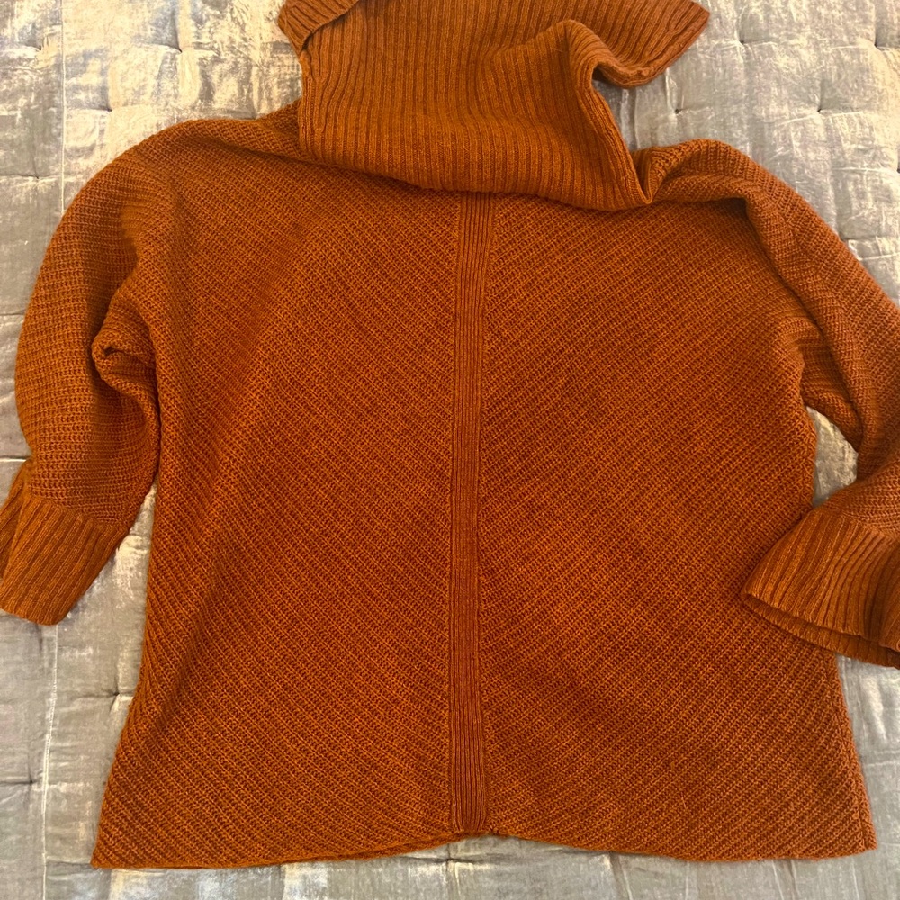 Eileen Fisher rust colored oversized sweater